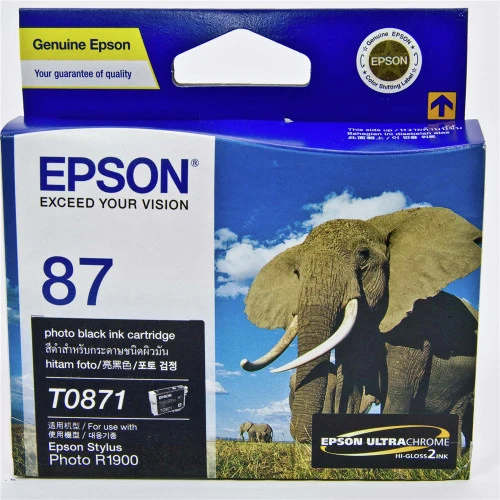 T0871 INK CARTRIDGE PHOTO BLACK R1900